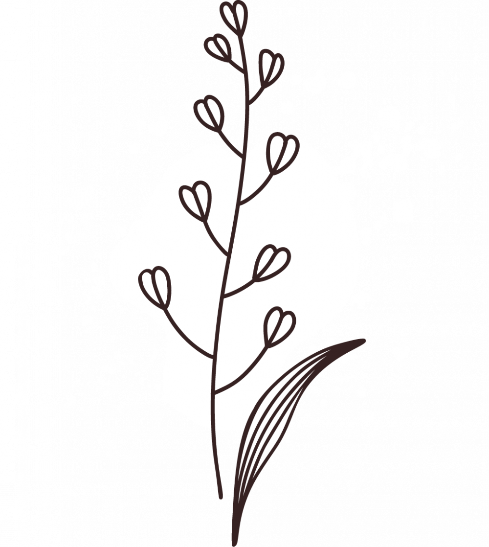 ITEMS-03.png ITEMS-03.png