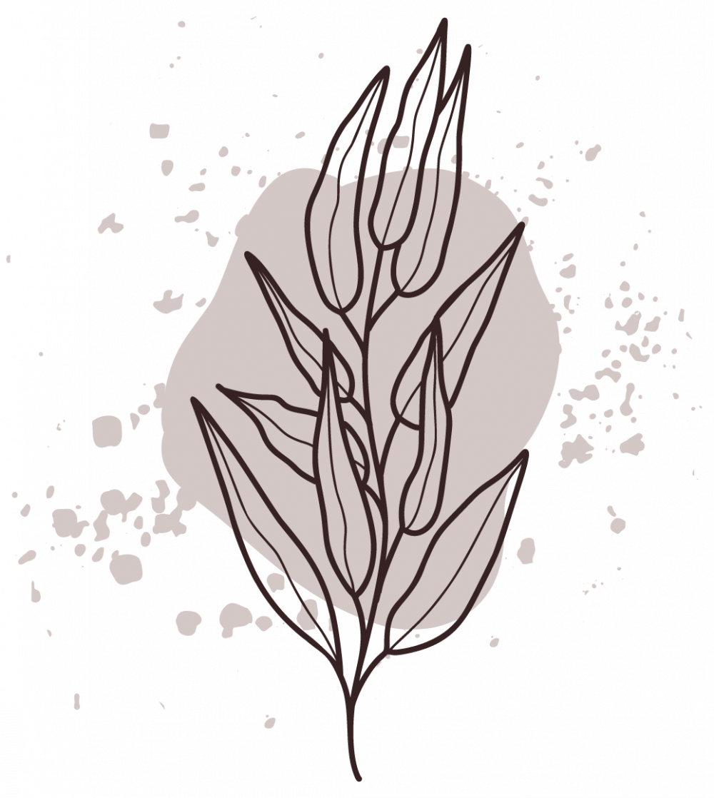 ITEMS-04.png ITEMS-04.png